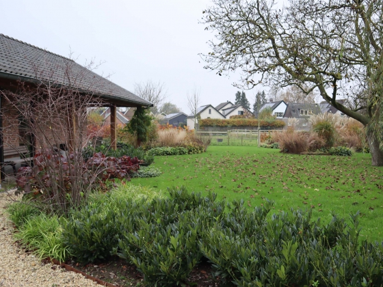 Notenboom in landelijke tuin